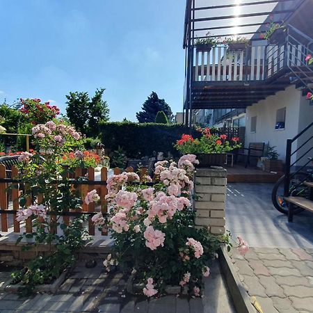 David Home 56 Znojmo Luaran gambar
