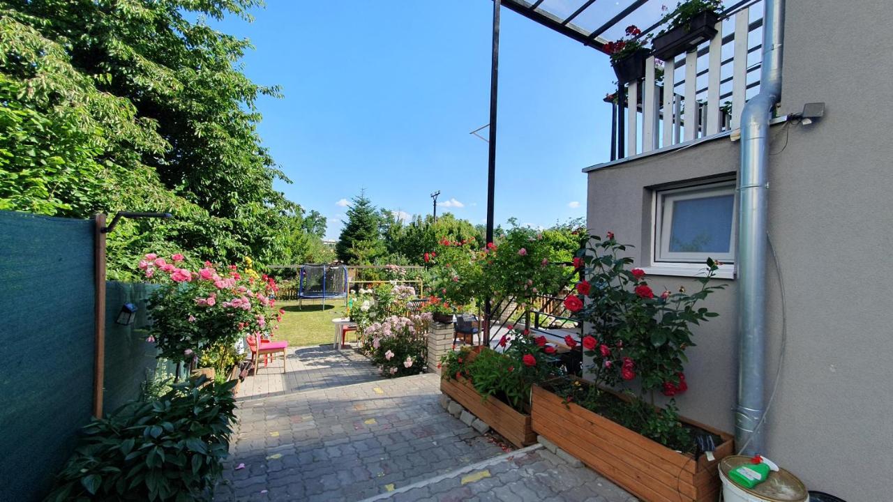 David Home 56 Znojmo Luaran gambar