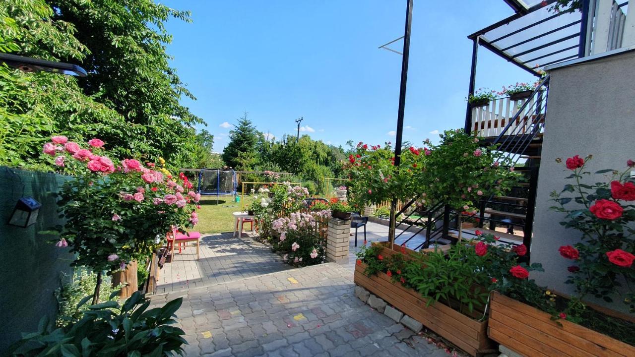 David Home 56 Znojmo Luaran gambar