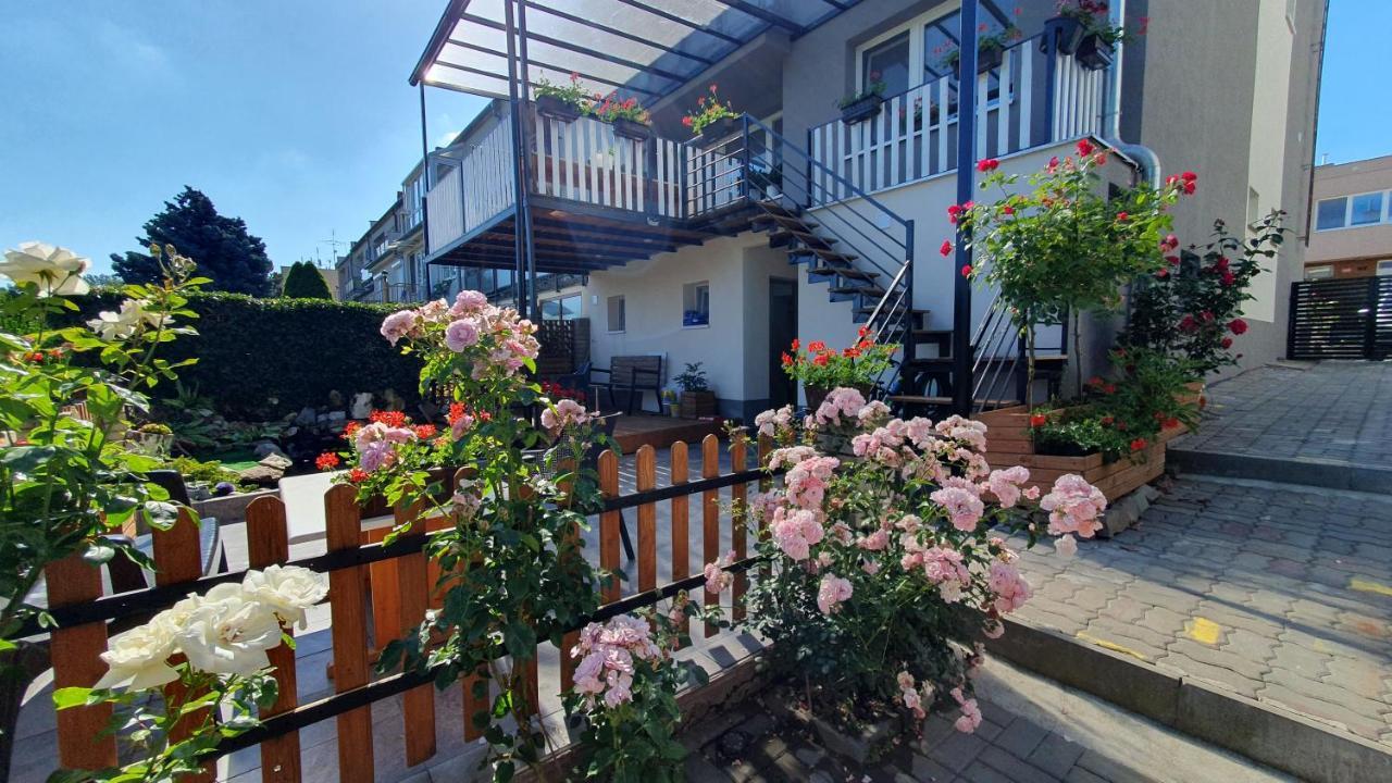 David Home 56 Znojmo Luaran gambar