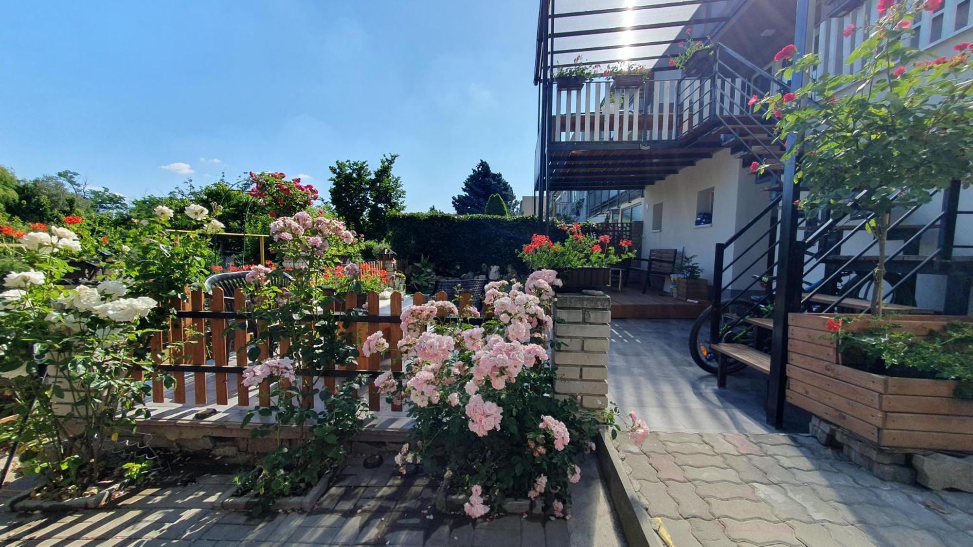 David Home 56 Znojmo Luaran gambar